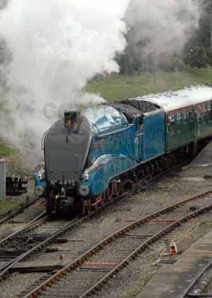 Purchase photo of 4492 DOMINION OF NEW ZEALAND (BITTERN) at Swanage Railway
